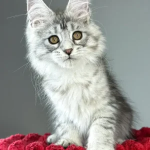 Ella