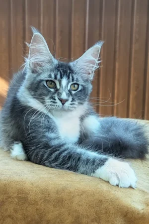 Greta