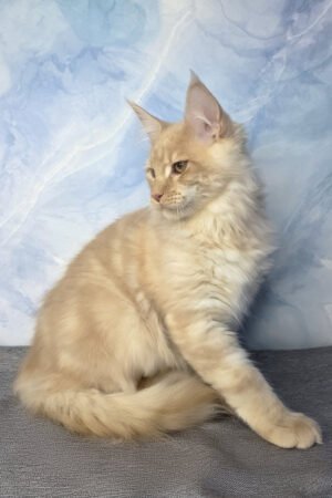 Elara