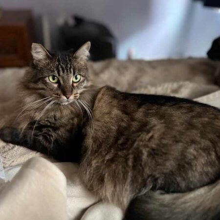 Mama Tabitha
